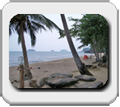 Thailand, Bangkok, Pattaya, Koh Phangan, Koh Lanta