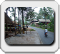 Thailand, Bangkok, Pattaya, Koh Phangan, Koh Lanta