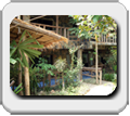 Thailand, Bangkok, Pattaya, Koh Phangan, Koh Lanta