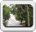 Thailand, Bangkok, Pattaya, Koh Phangan, Koh Lanta
