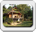 Thailand, Bangkok, Pattaya, Koh Phangan, Koh Lanta
