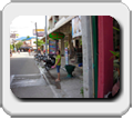 Thailand, Bangkok, Pattaya, Koh Phangan, Koh Lanta