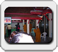 Thailand, Bangkok, Pattaya, Koh Phangan, Koh Lanta