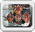 Thailand, Bangkok, Pattaya, Koh Phangan, Koh Lanta